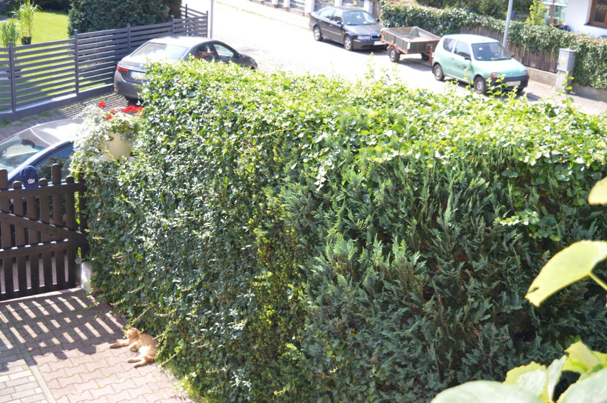 U Piotra Apartamento Ustka Exterior foto